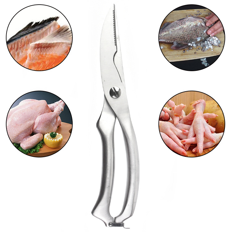 สแตนเลสสัตว์ปีกครัวไก่กรรไกรกร - Kitchen Gadgets And Appliances บทวิจารณ์และราคา